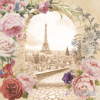 Вид на центр Парижа