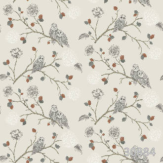 Совы и розы