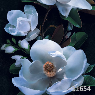Magnolia macro blue