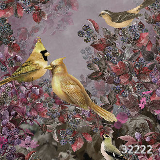 Ashford garden golden mist