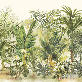 Tropical forest light