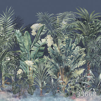 Tropical forest dark