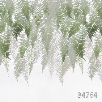 Узоры папоротника