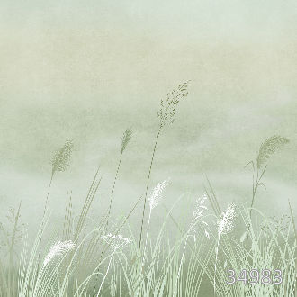 Свежесть полей