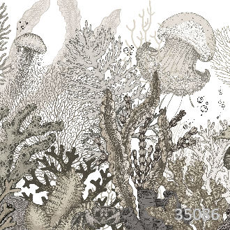 Морские дали