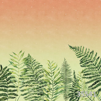 Папоротник на закате