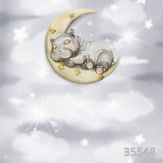 Спящий бегемотик